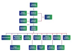 Bank Structure – Ivory Bank